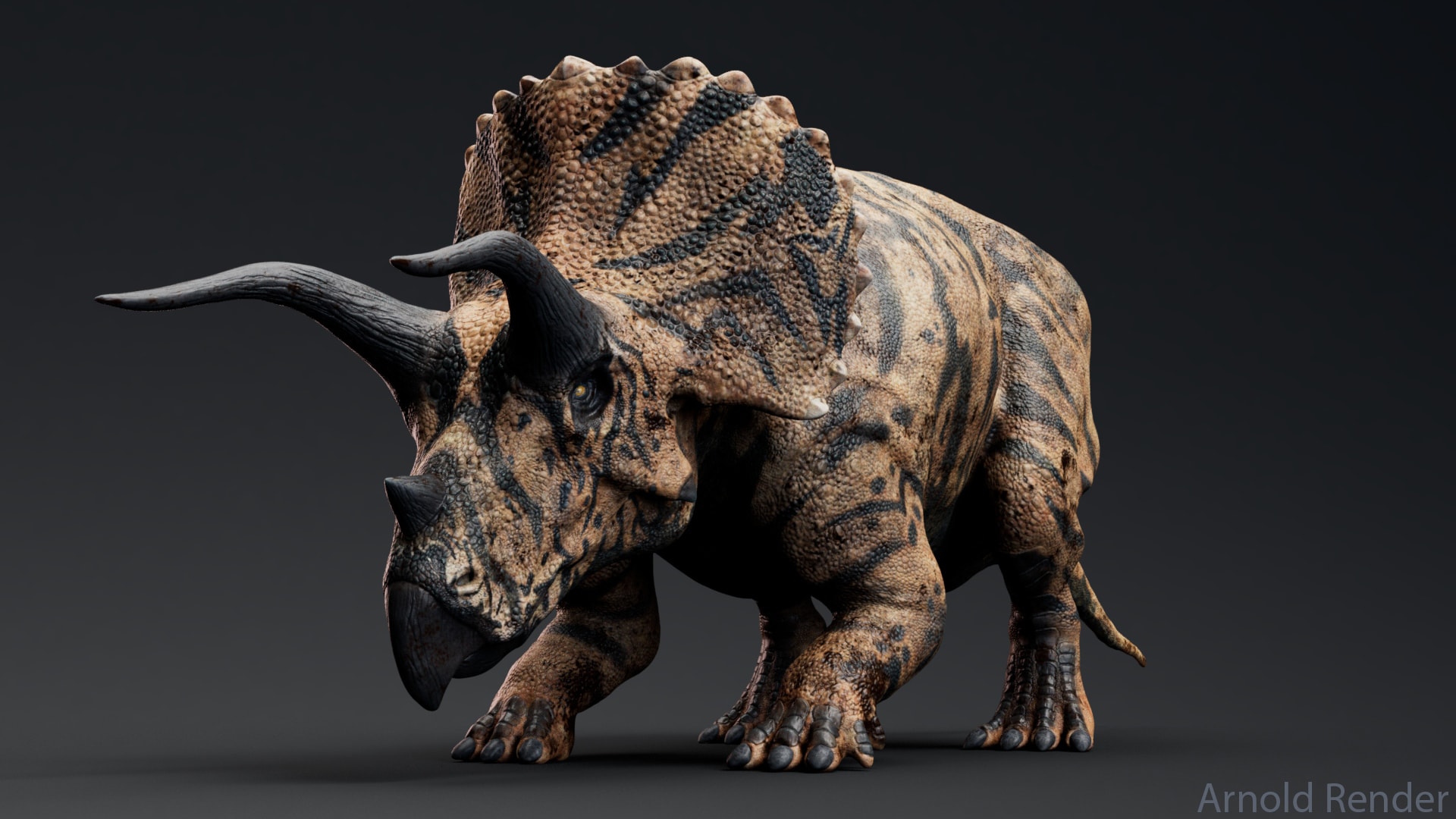 Triceratops