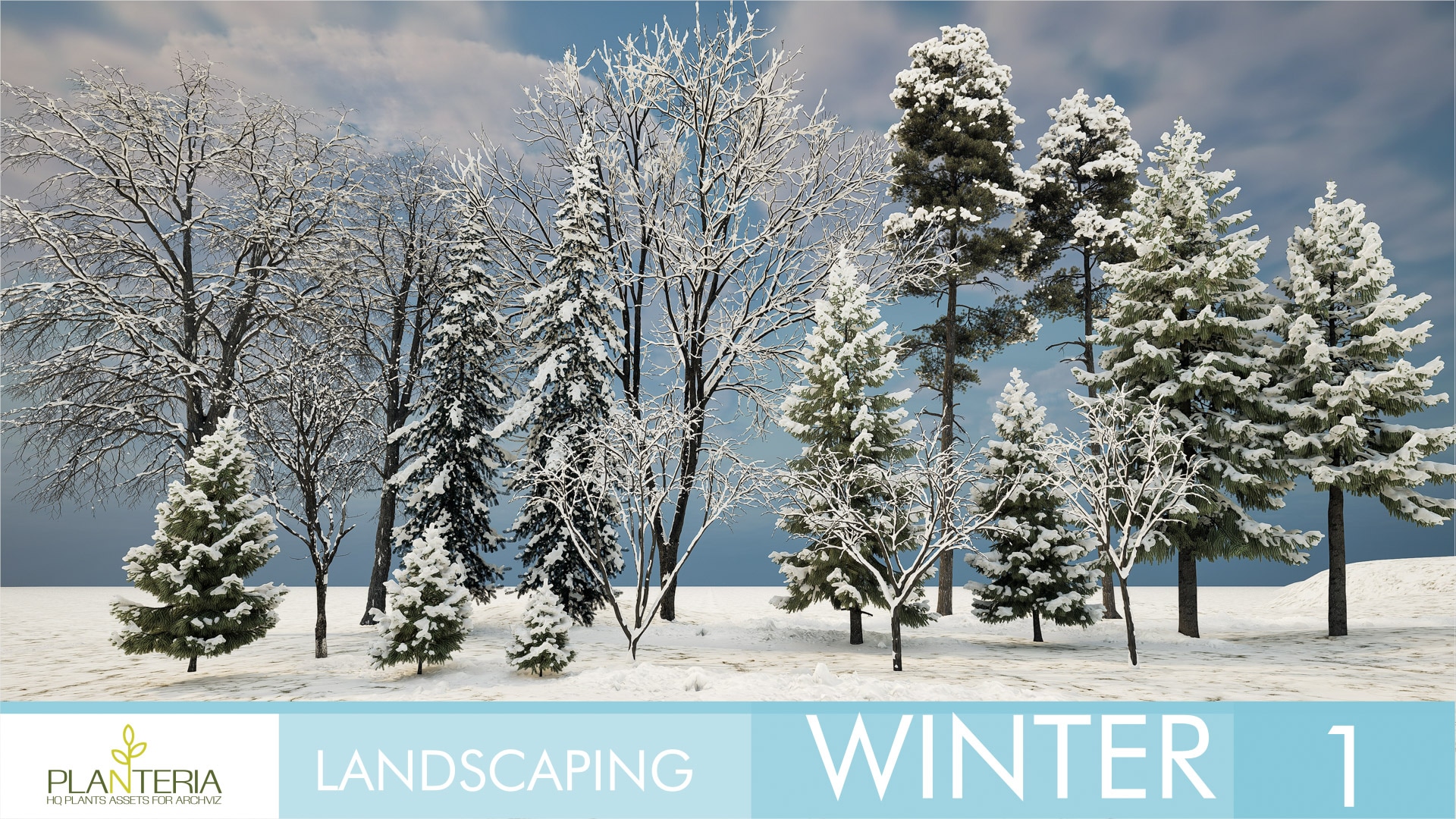 Landscaping Winter 1