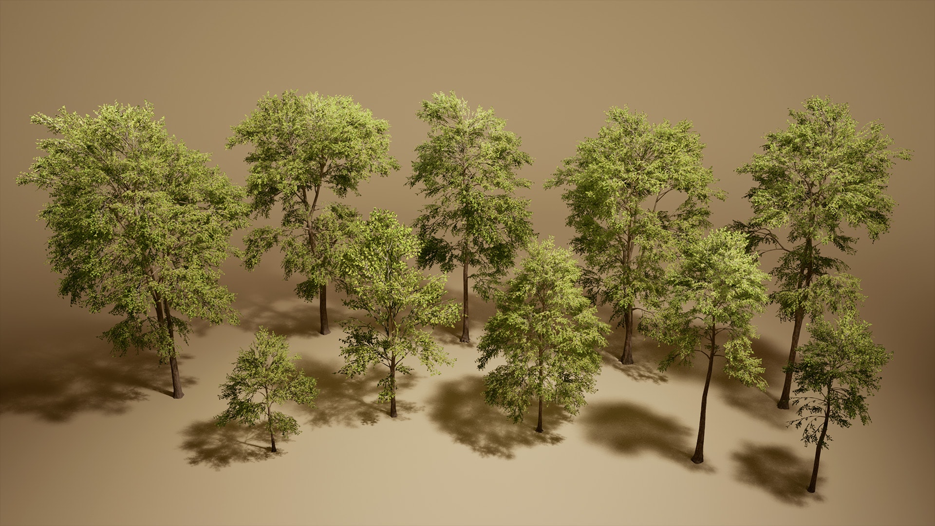 Foliage VOL.7 - Ash Trees (Nanite and Low Poly)