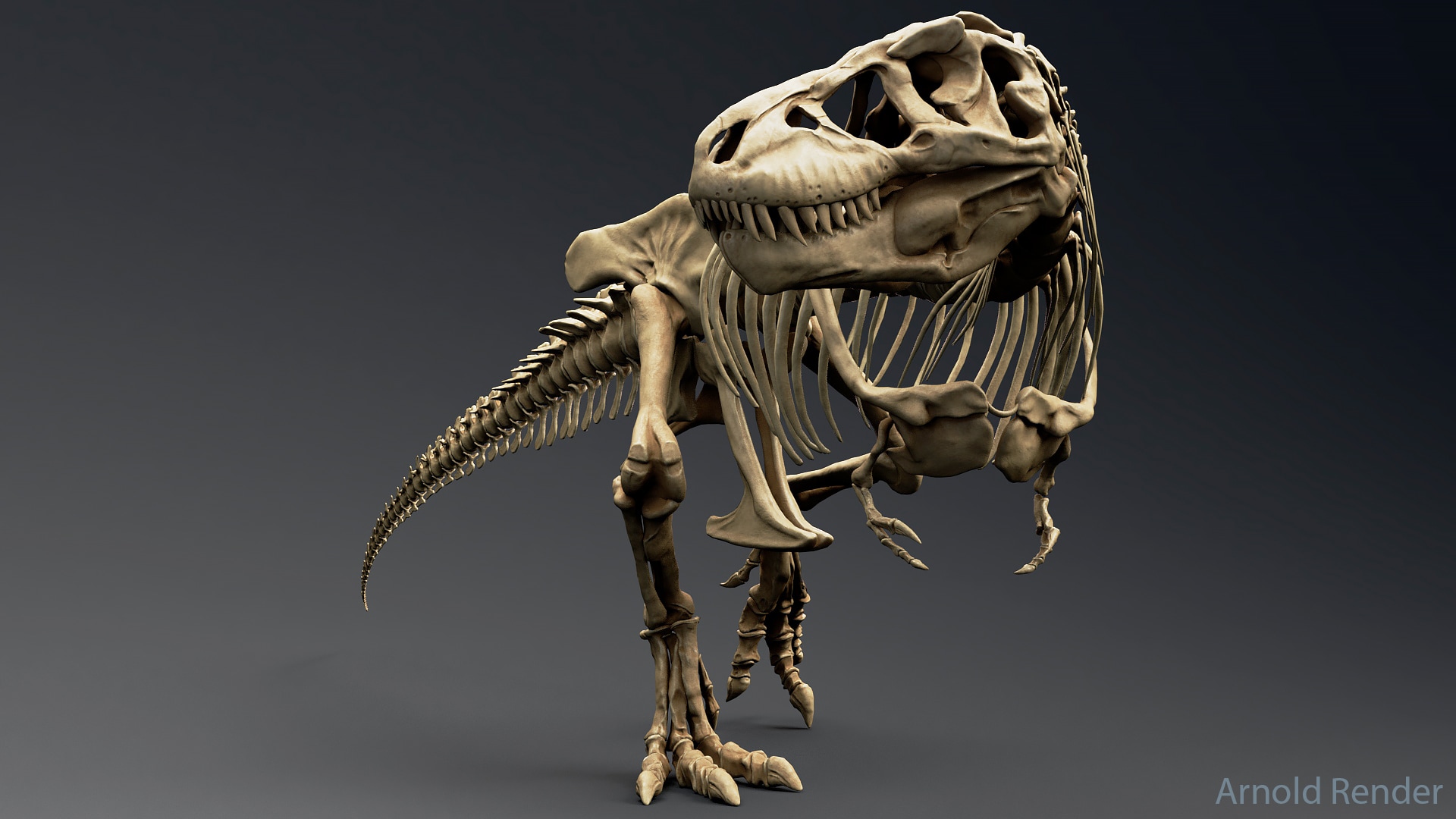 Tyrannosaurus Rex Sue Skeleton