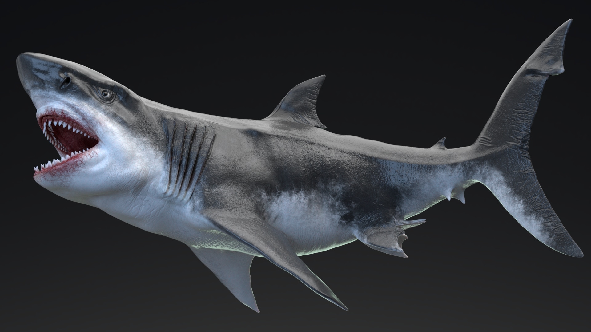 MEGALODON - Sea Monster Series 5