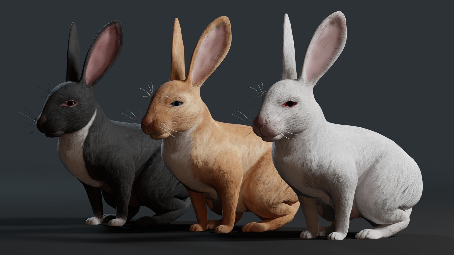 Realistic Rabbit