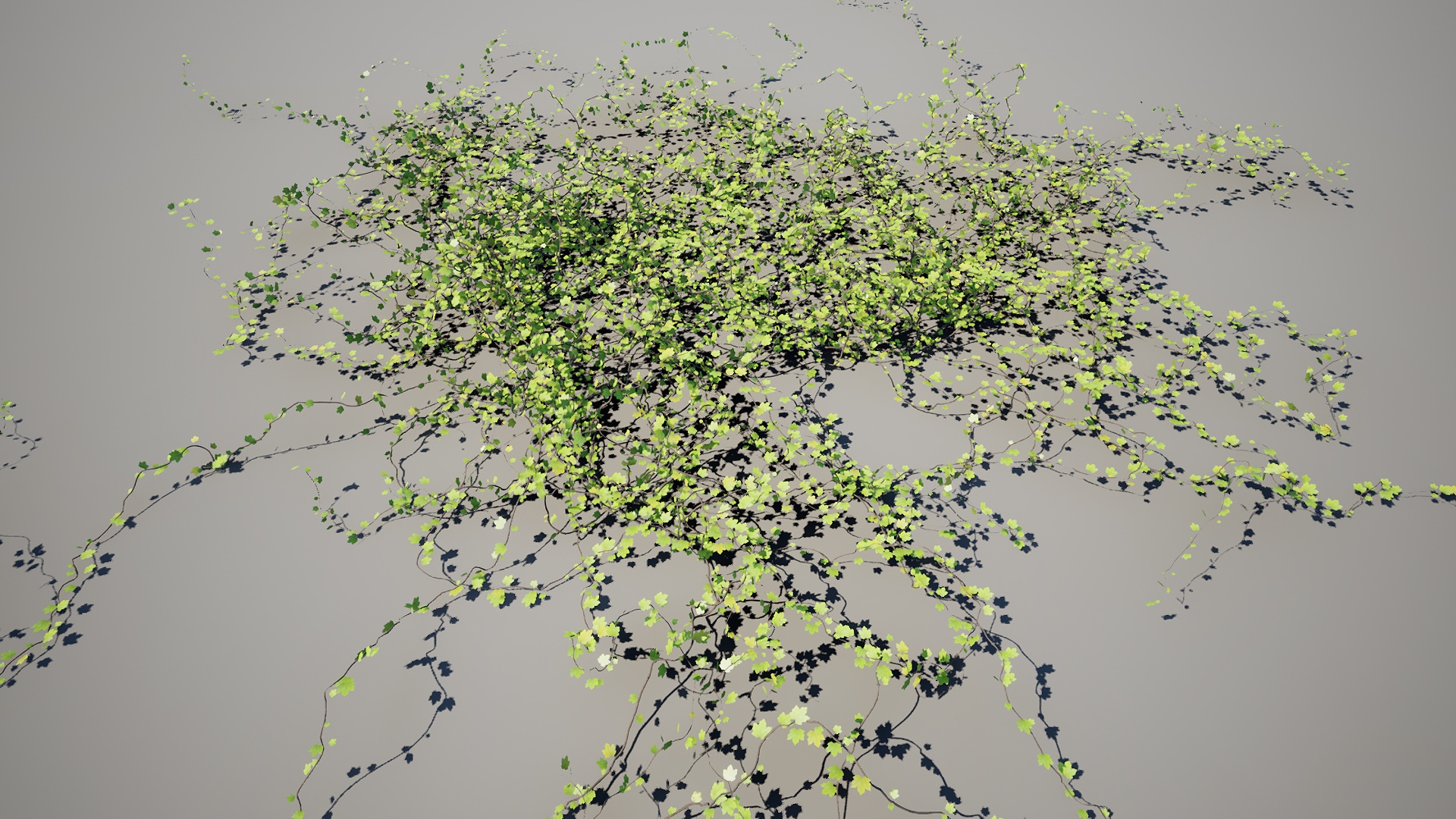 Vines 3D Models