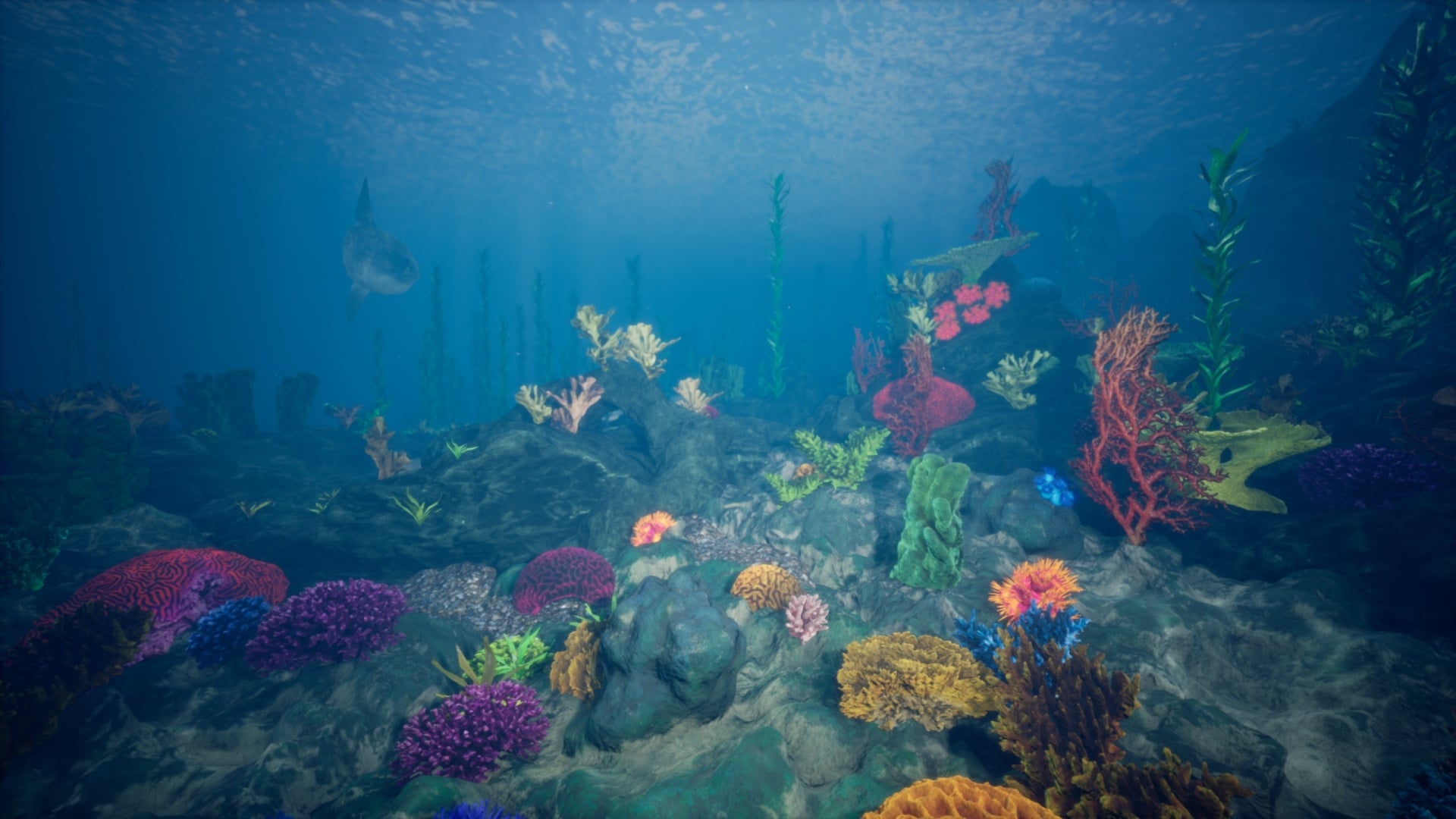 Ocean Environment Pack 2 - Coral Reef