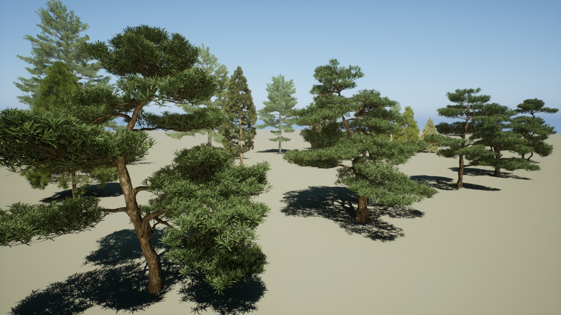 Realistic pine treesV3