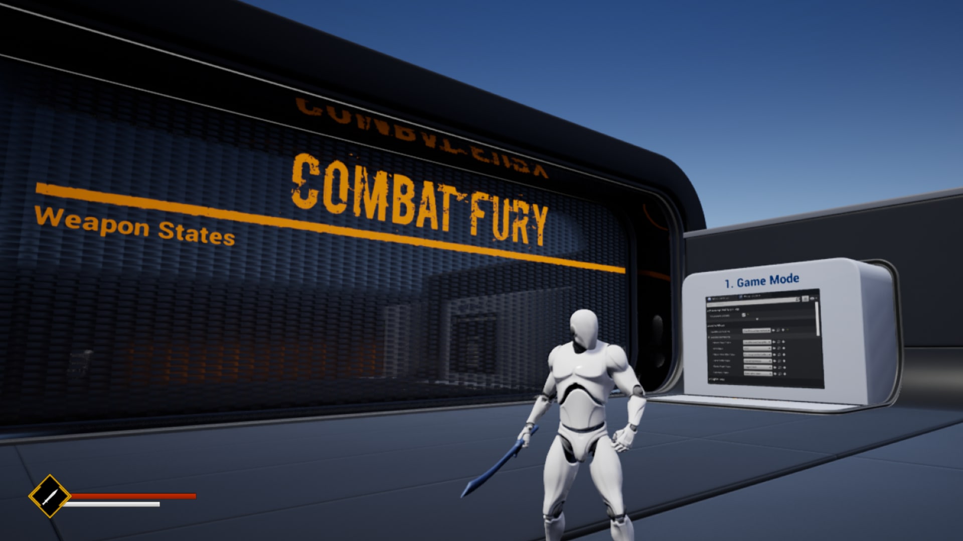 COMBAT FURY