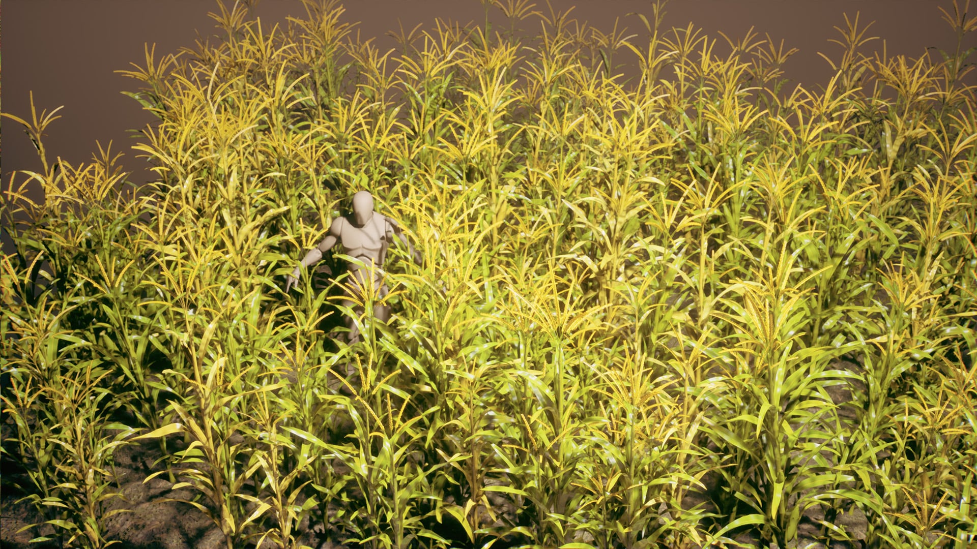 Foliage VOL.15 - Corn Field (Nanite and Low Poly)