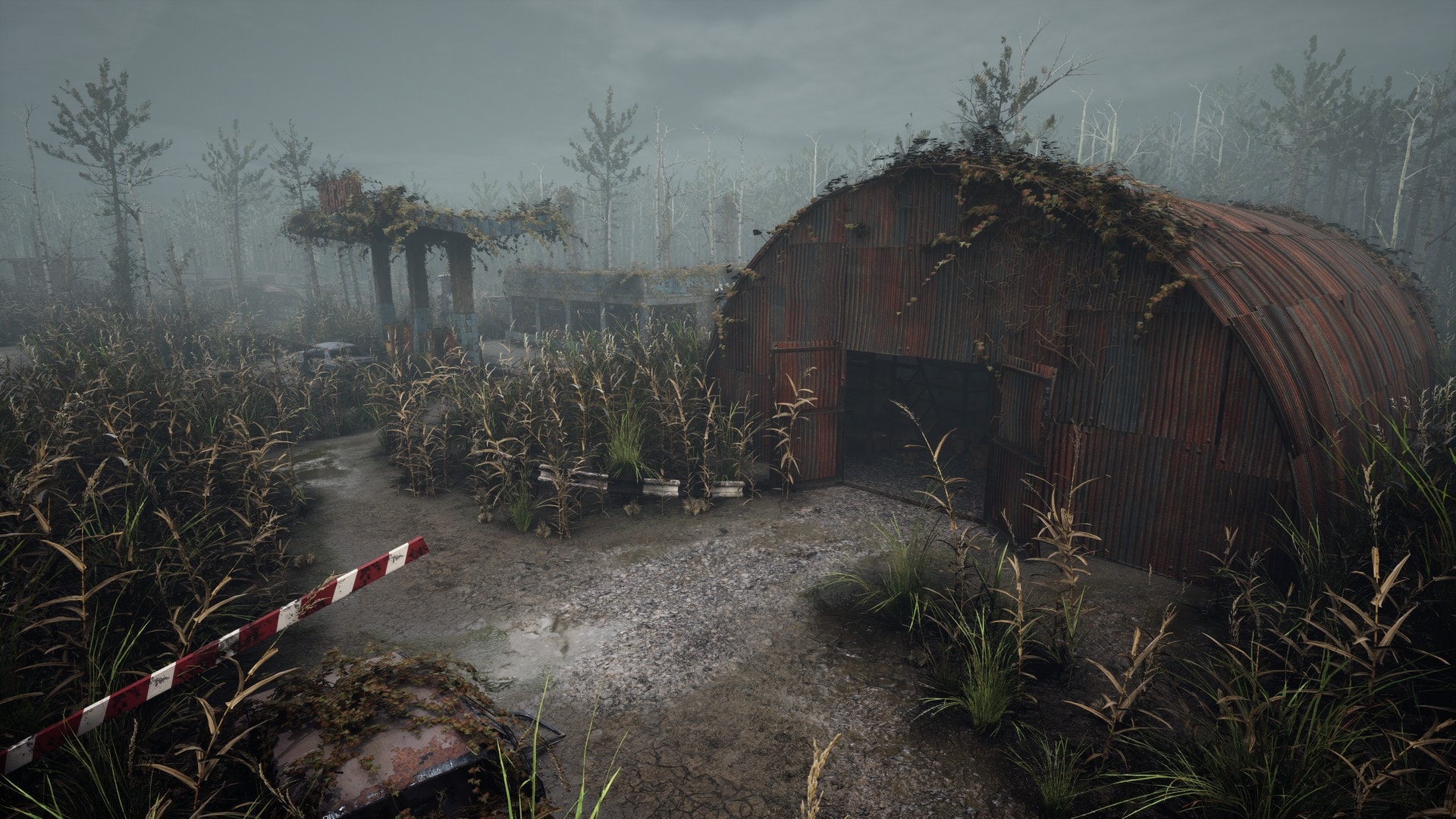 Swampy industrial zone