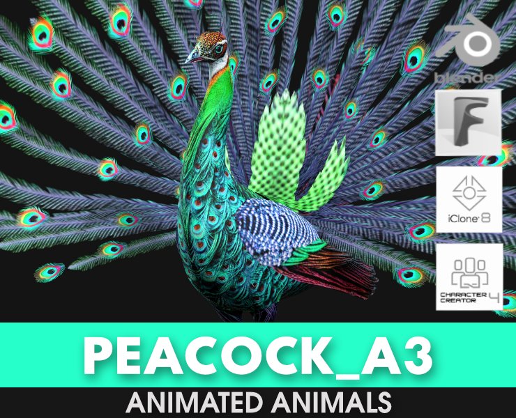 Peacock-A3