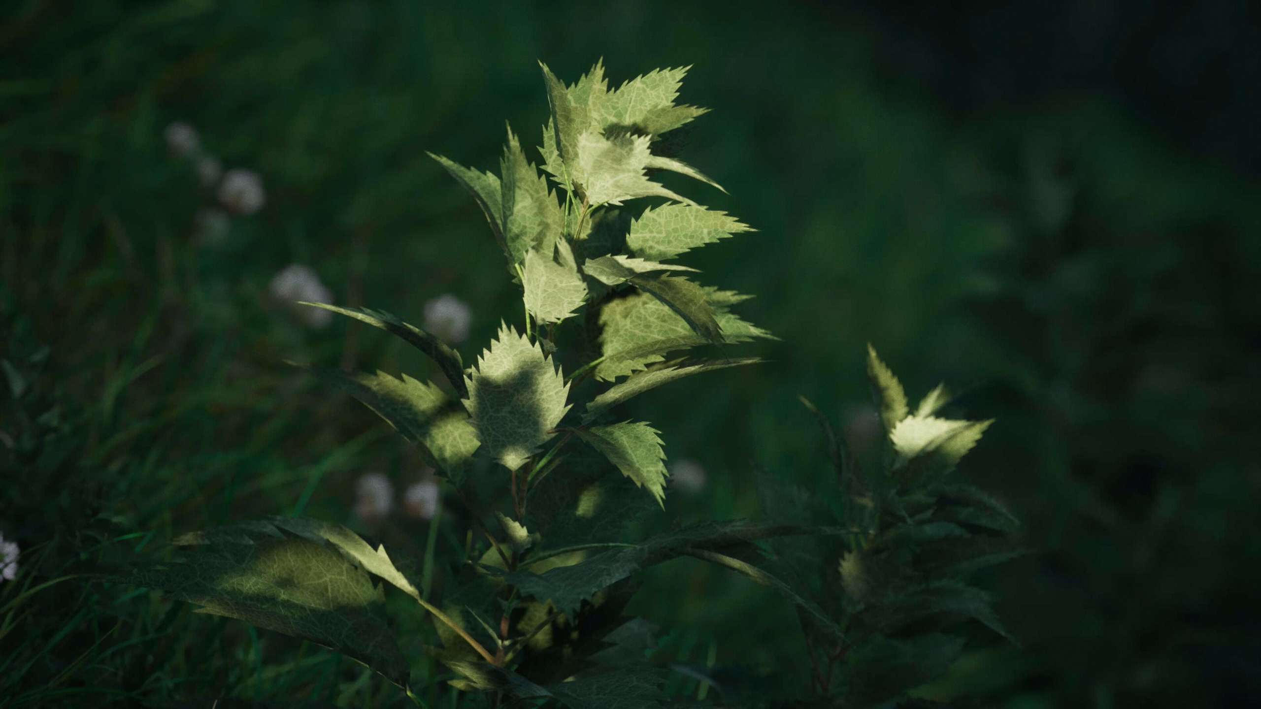 Stinging Nettle v1.3 Nanite Foliage