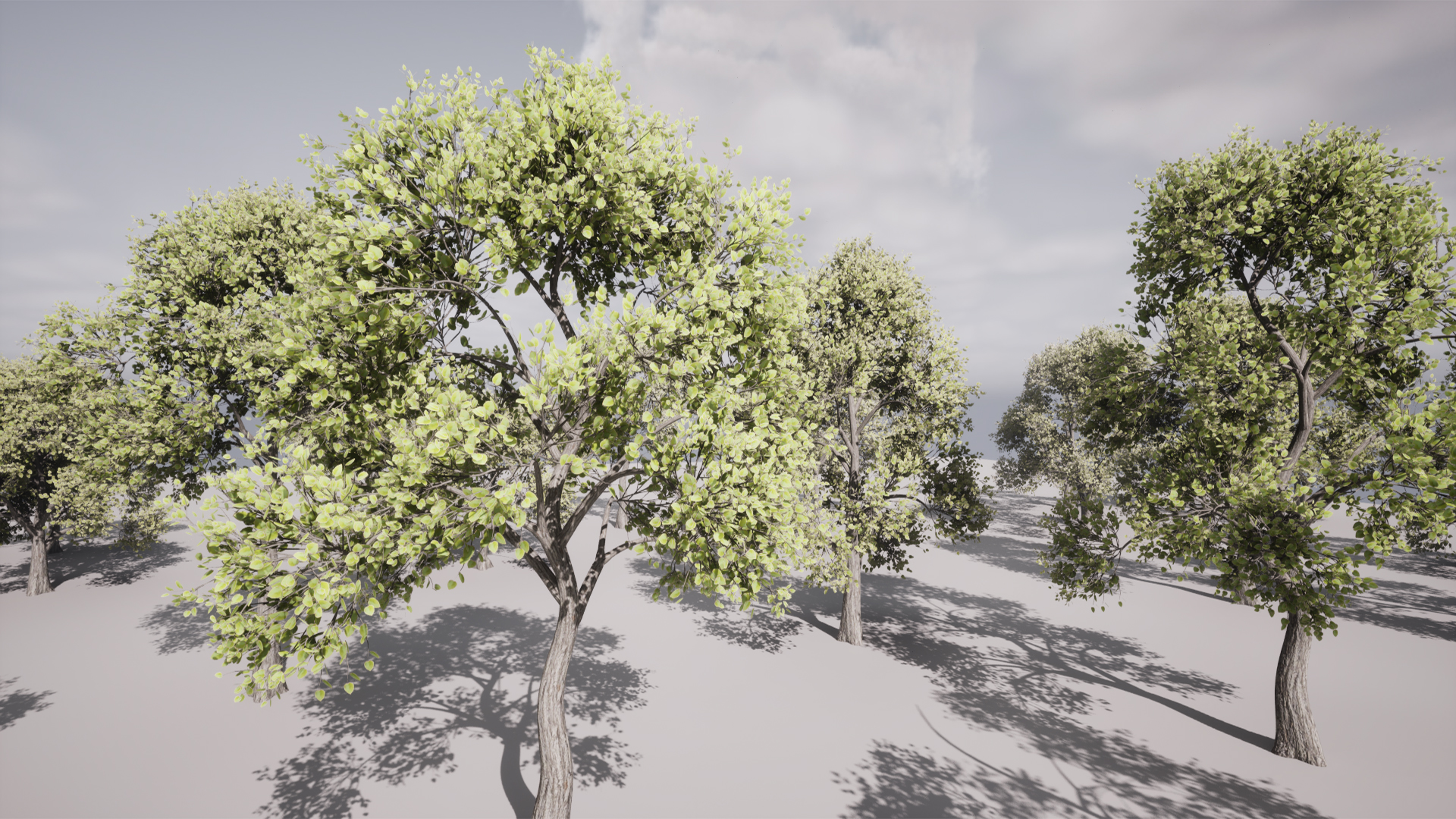 HighPoly Tree Model