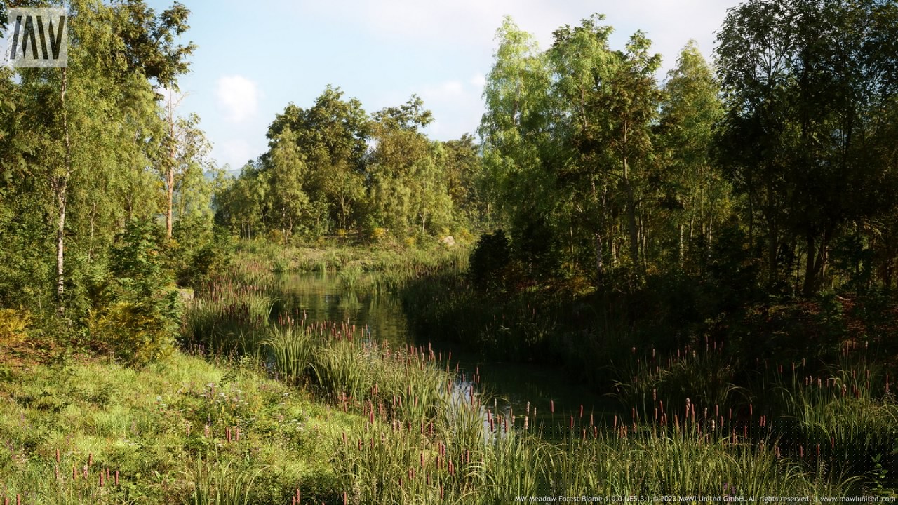 MW Meadow Forest Trees Biome