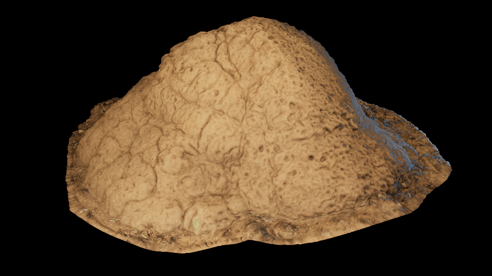 Termite Mounds Vol 1