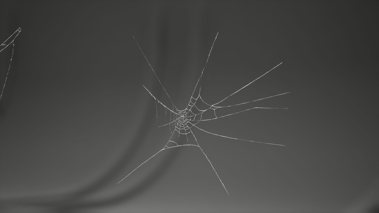 MAE Cobweb Collection 01