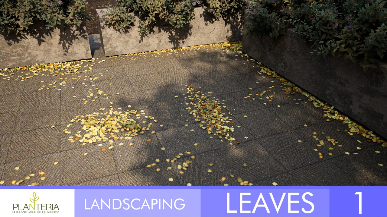 Landscaping Leaves