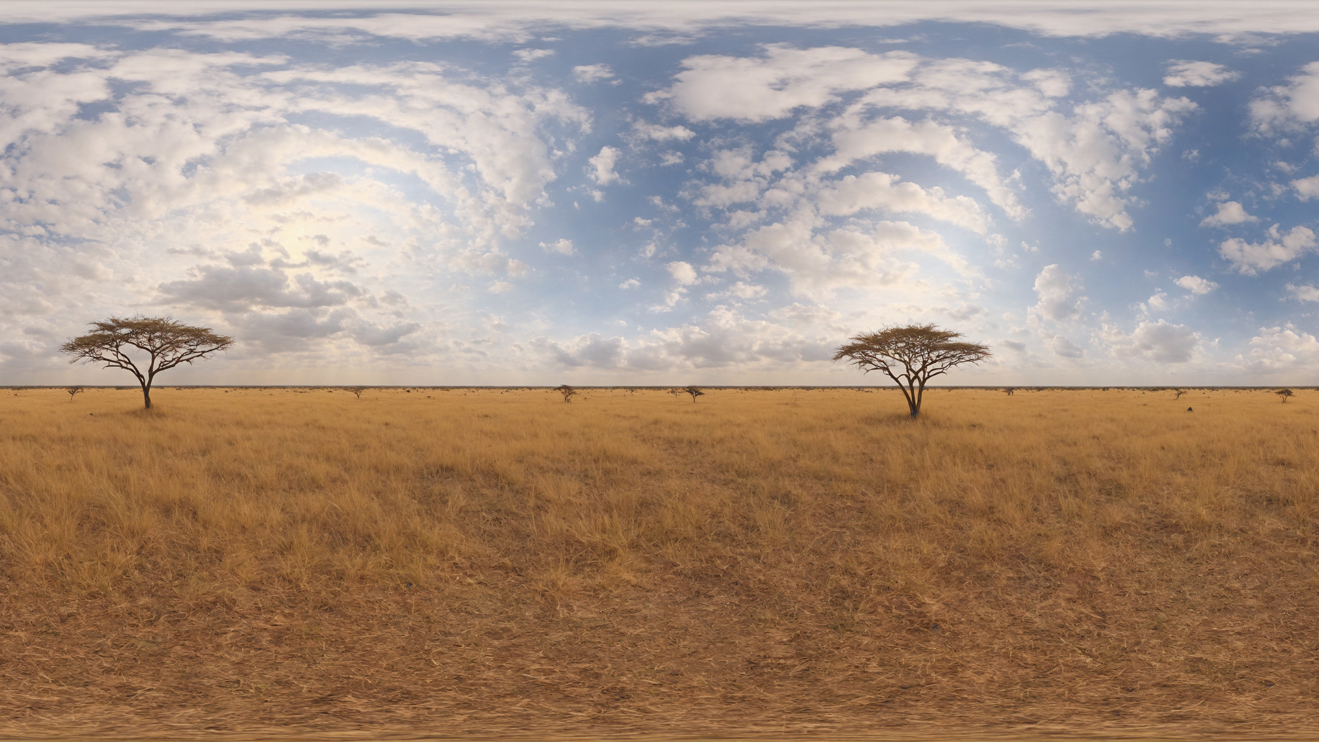 HDRI Savanna Panoramas