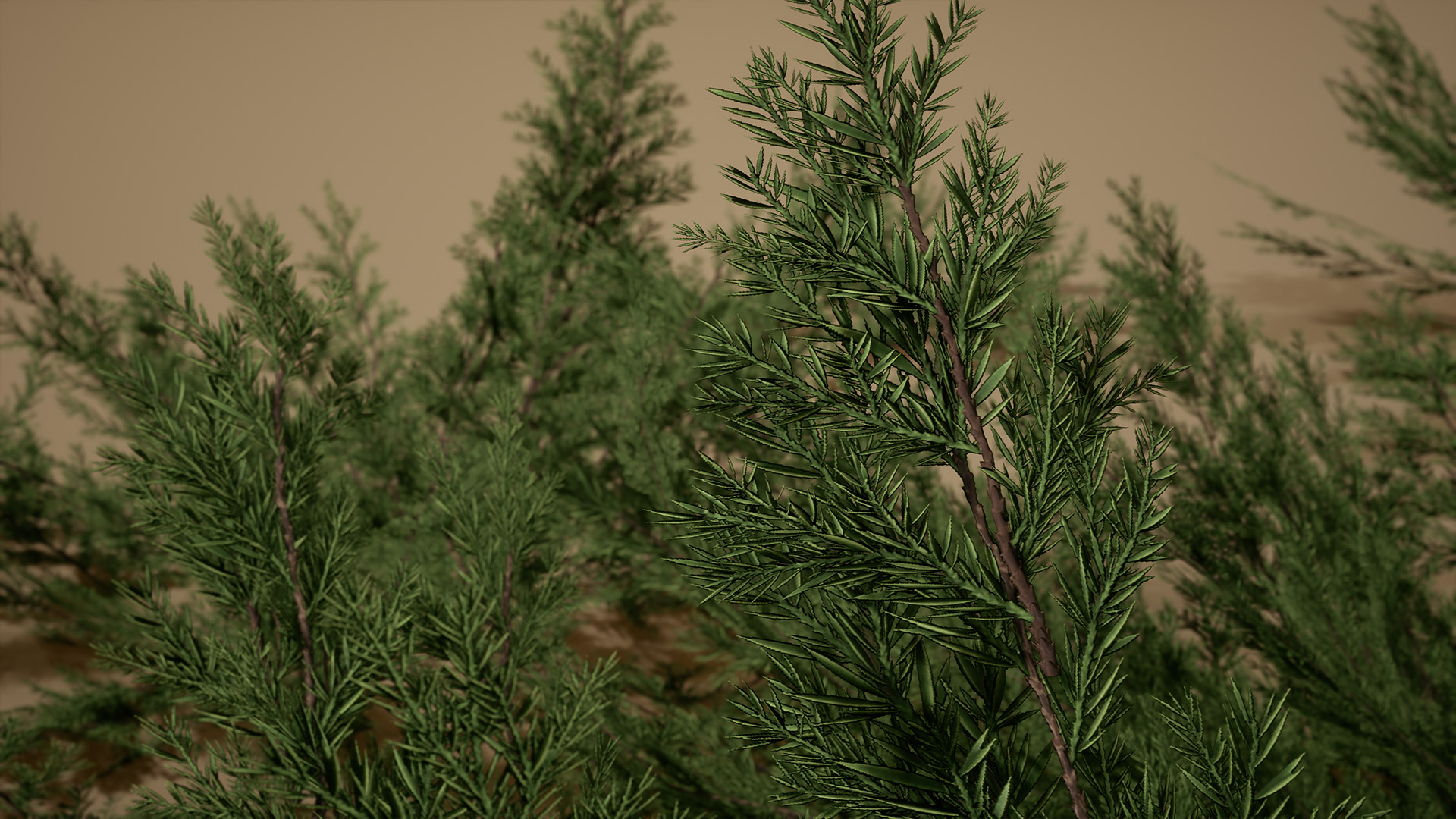 Foliage VOL.10 - Yard Plants