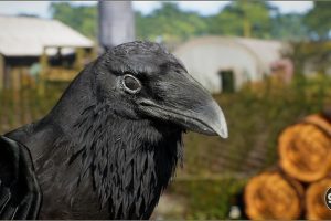 Unreal Engine –Animalia – Raven UE211