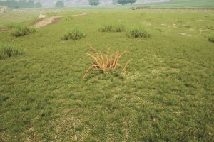 Unreal Engine –Procedural Growing Plants UE169