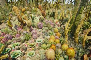 Unreal Engine –Cactus Plants: Desert Garden UE970