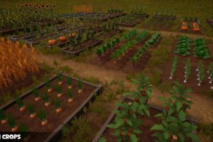 Unreal Engine –Farm Crops UE955
