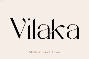 UI8-Vilaka Modern Serif  U2038