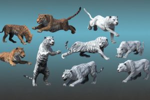 Unreal Engine –Asian Animal – Tiger UE1035