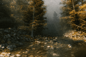 1800s (C4D Octane Scene + Post file) C5273