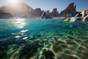 Unreal Engine – Oceanology UE994