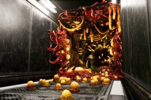 Unreal Engine –Alien Biomass Infection Planet and Scifi Corridor UE396