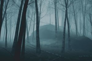 Unreal Engine –Horror Forest UE419