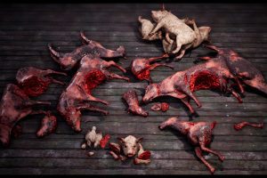 Unreal Engine – Death animals body parts collection UE1060