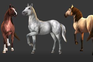 Unreal Engine – Horse Animset UE420