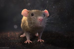 Unreal Engine – Mouse UE438