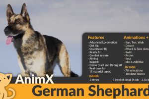 Unreal Engine –AnimX: German Shepherd UE1037