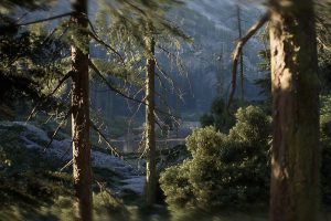 Unreal Engine –Colorado Nature UE341