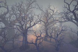 Unreal Engine – Dried trees UE1450
