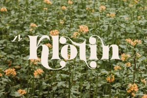 UI8 – ZT Klotin U1332