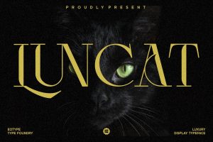 UI8 – Luncat – Display Typeface U1397