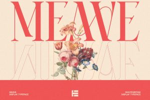 UI8 – Meave Display Typeface U1399