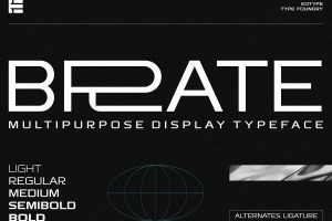 UI8 – Brate – Family Display Typeface U1208