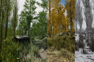 Unreal Engine – Scanned Poplar and Aspen Forest with Seasons UE1483