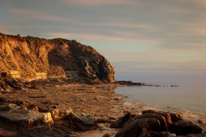 Unreal Engine – Brushify – Beach Pack UE1495