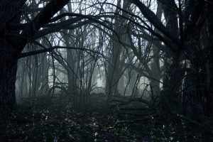 Unreal Engine – Dark Forest UE1527
