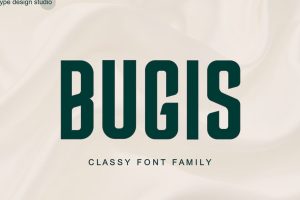 UI8 – Bugis Upright Font U1209