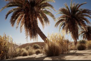 Unreal Engine – Desert Vegetation UE1345