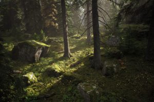Unreal Engine – Nordic Conifer Biome UE1595