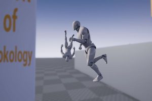 Unreal Engine – Pick Up Plus Inspect UE2442