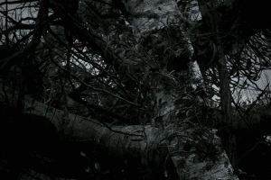 Unreal Engine – MalformedForest UE2269