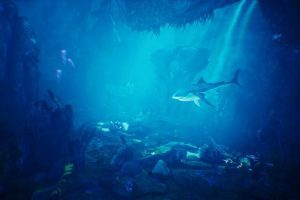 Unreal Engine – Underwater World 70 Assets UE2764